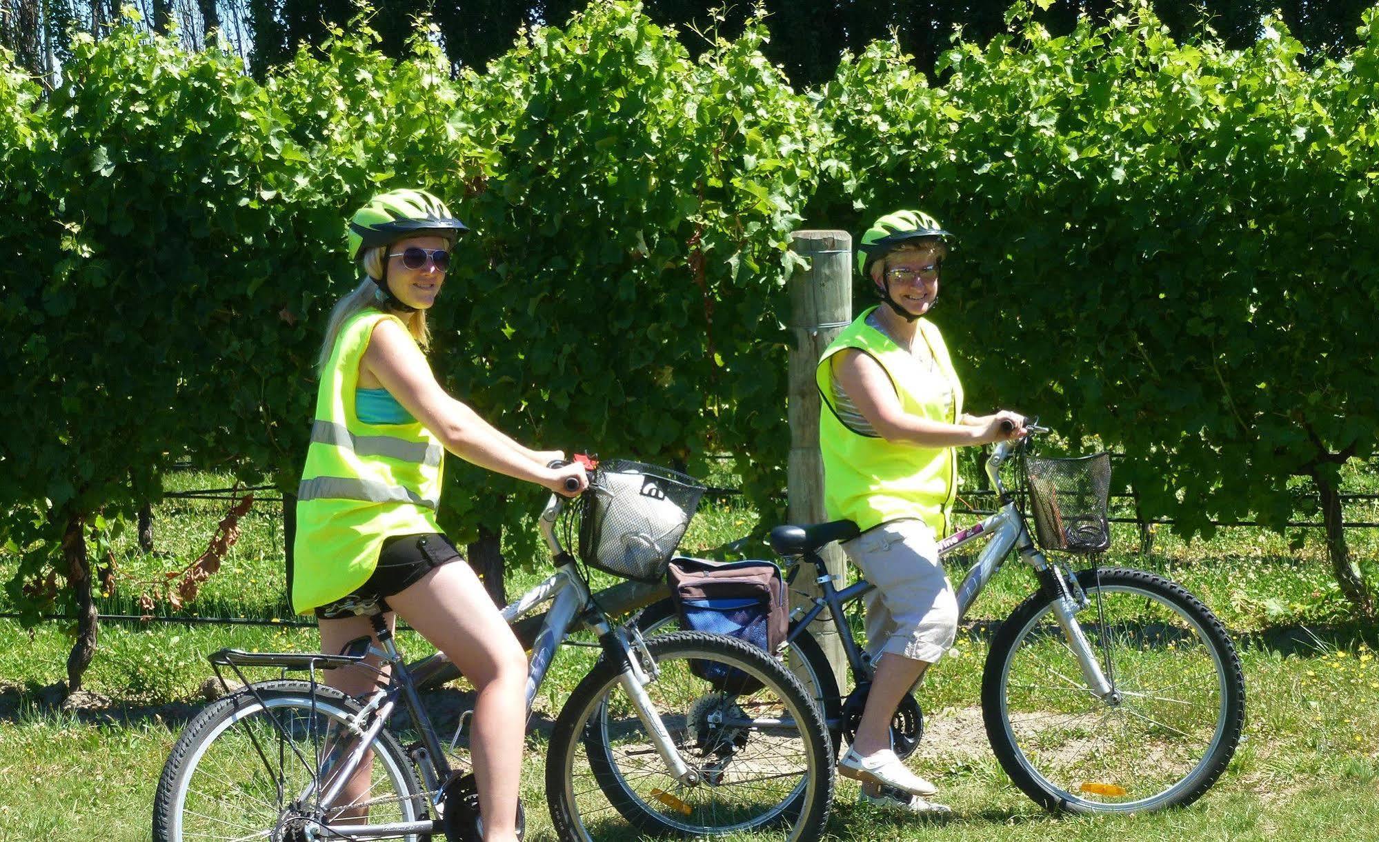 Renwick Olde Mill House B&B & Bike2Wine Cycle Hire מראה חיצוני תמונה