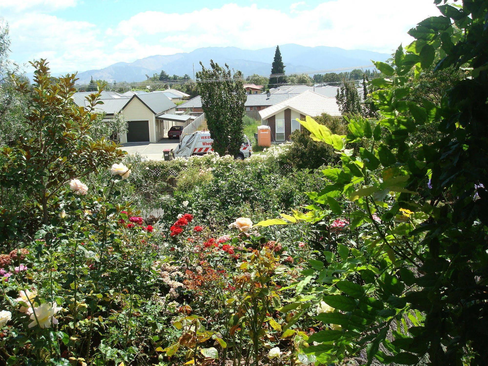 Renwick Olde Mill House B&B & Bike2Wine Cycle Hire מראה חיצוני תמונה